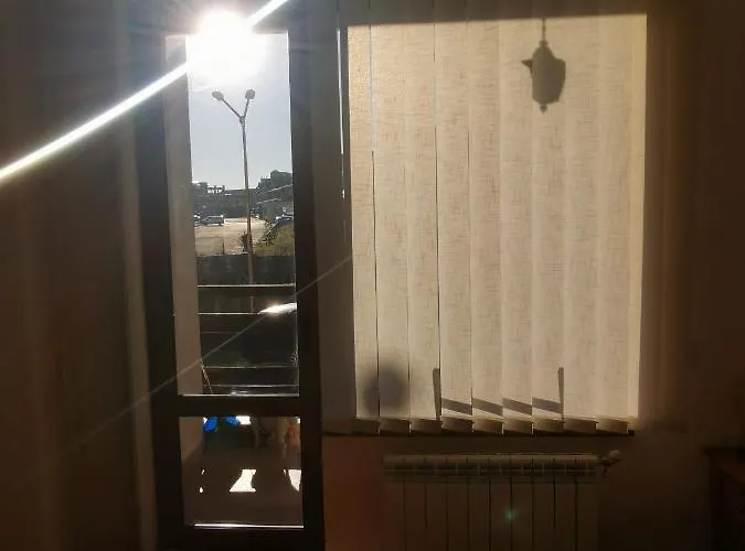 Sunny By The Lift In