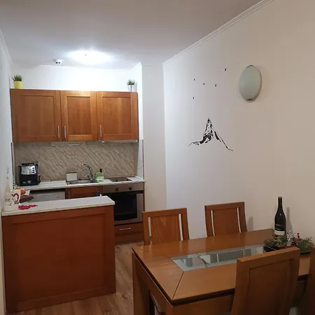 Sunny By The Lift In