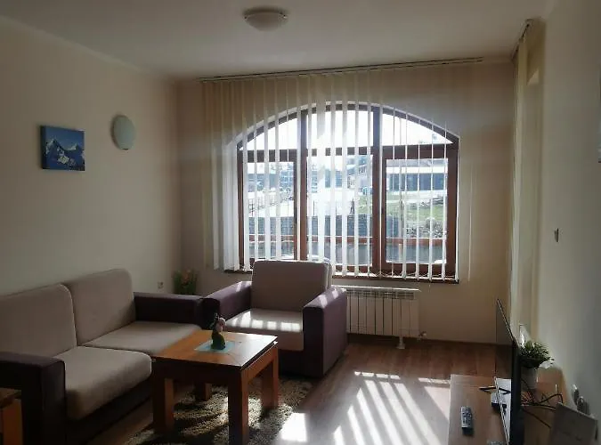 Sunny By The Lift In