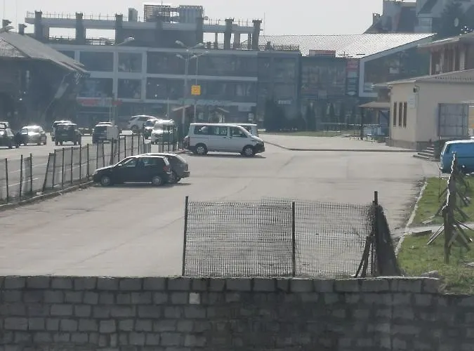 Sunny By The Lift In *